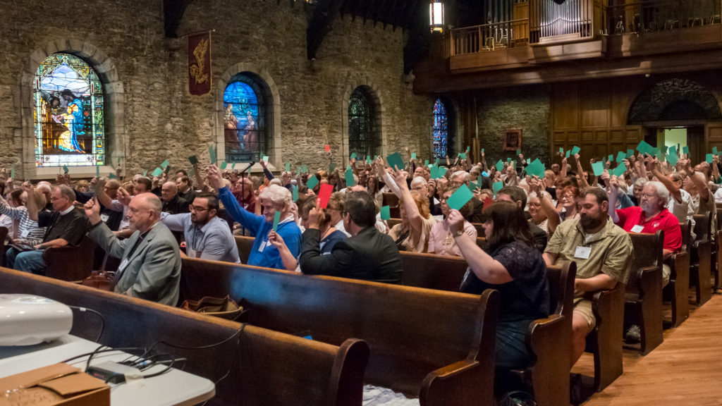 Delegates vote at the Special Convention of The Diocese of West Missouri, June 3, 2017 at Grace and Holy Trinity Cathedral.